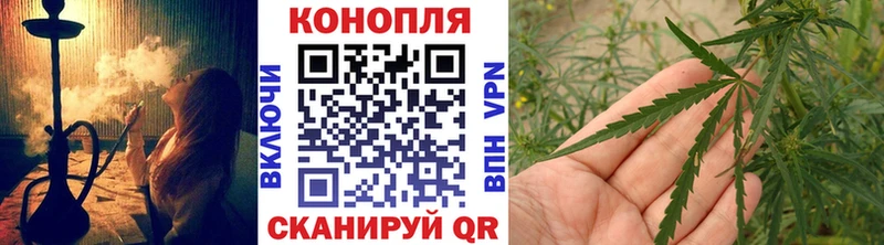 Виды наркотиков купить Кашира Псилоцибиновые грибы  МЕФ  COCAIN  Гашиш  Канабис 