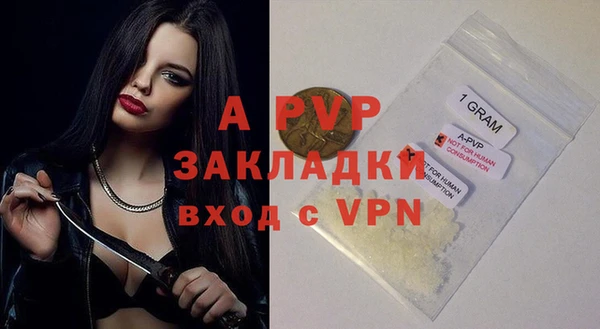 mix Богородицк