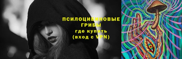 спиды Богданович