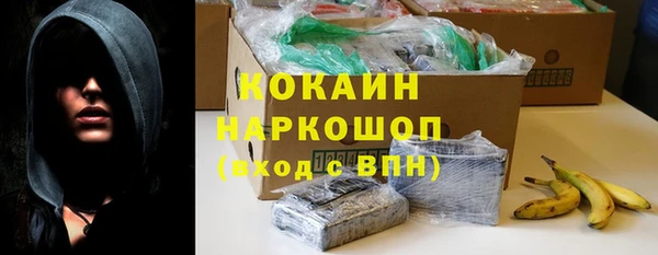 спиды Богданович