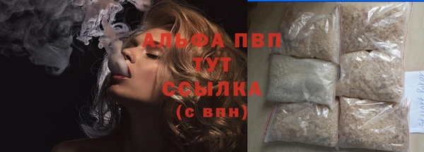 спиды Богданович