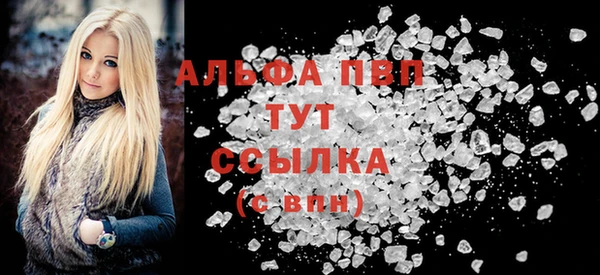 спиды Богданович