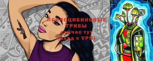спиды Богданович