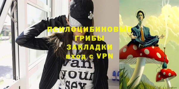 спиды Богданович